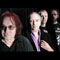 THE LEGENDARY PINK DOTS