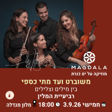 בין מילים לצלילים