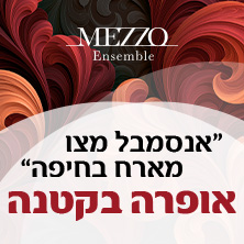 אופרה בקטנה - קונצרט