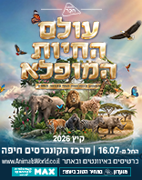 מרכז הקונגרסים, חיפה