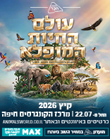 מרכז הקונגרסים, חיפה