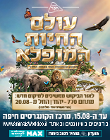 מרכז הקונגרסים, חיפה