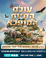 מתחם 770, יהוד