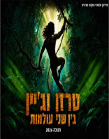 17.11 | סינמה סיטי