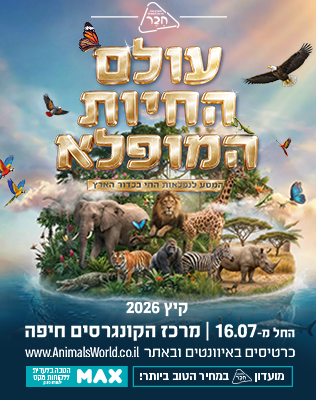 מרכז הקונגרסים, חיפה