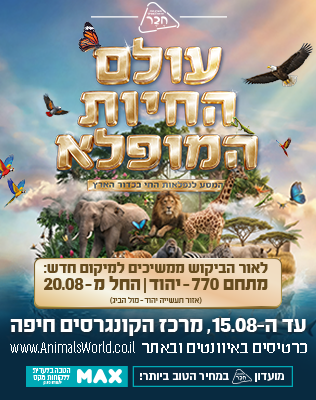מרכז הקונגרסים, חיפה