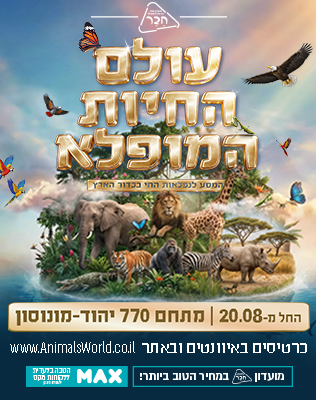 מתחם 770, יהוד