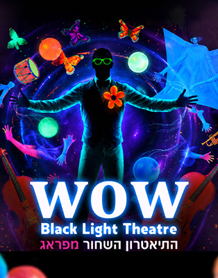 תיאטרון WOW